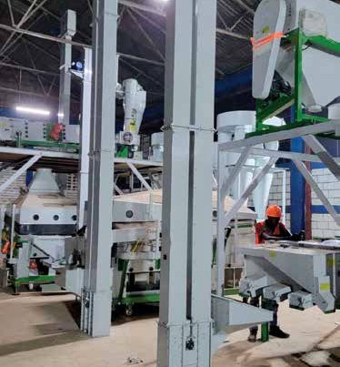 20 t Dryer & 8 t/h Bean Plant — support steel and plant installation, Buloba