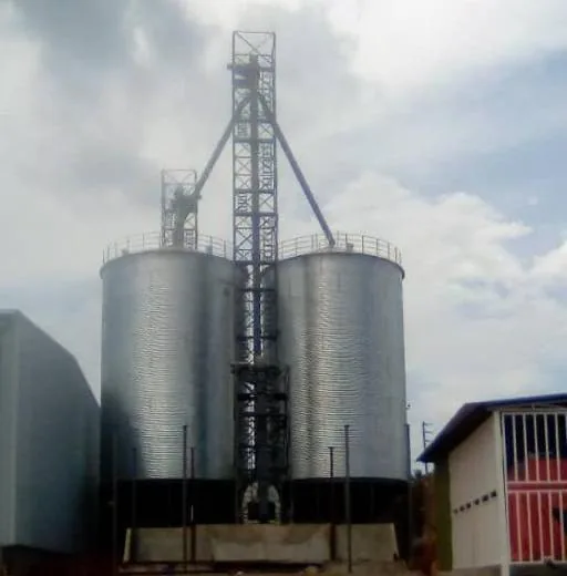 Silos and Tanks — twin grain silos with steel gantry structure